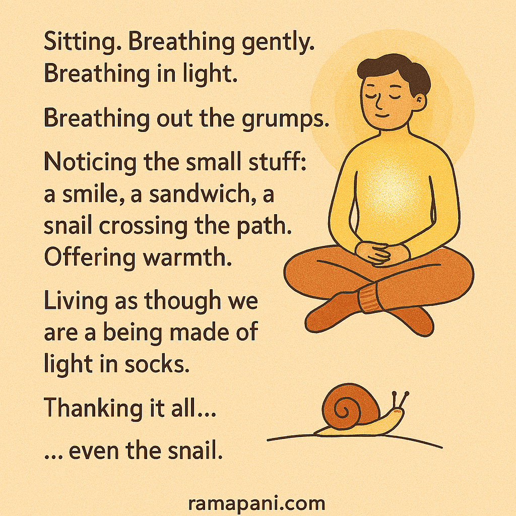 Morning Meditation | Gratitude. Sitting. Breathing gently. Breathing in light. Breathing out the grumps. Noticing the small stuff: a smile, a sandwich, a snail crossing the path. Offering warmth. Living as though we are a being made of light in socks.Thanking it all... even the snail.